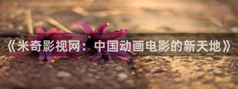 韩国影视免费观看