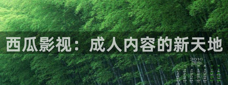 韩国影视推荐