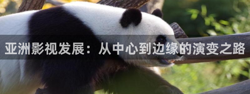 必胜韩国影视：亚洲影视发展：从中心到边缘的演变之路