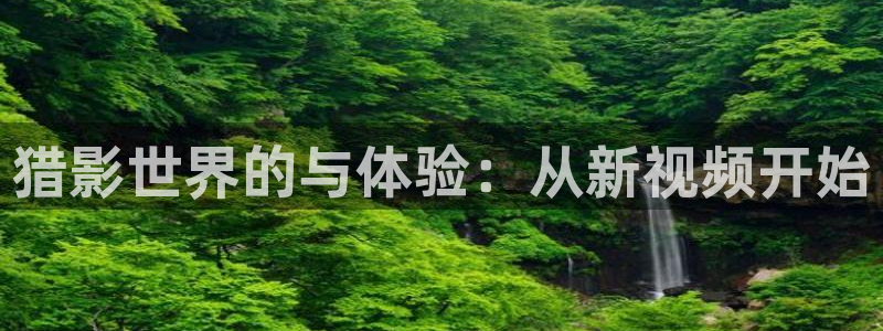 韩国影视免费观看：猎影世界的与体验：从新视频开始