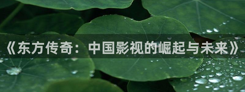 韩国影视