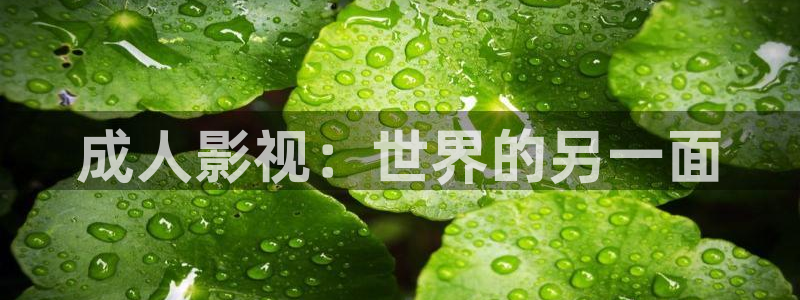 韩国影视免费观看：成人影视：世界的另一面