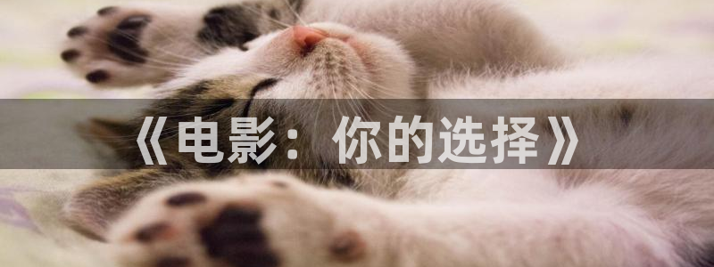 韩国影视免费观看：《电影：你的选择》