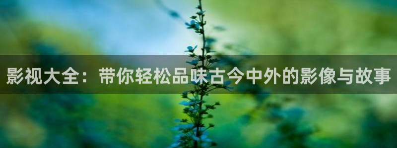 韩国影视电影